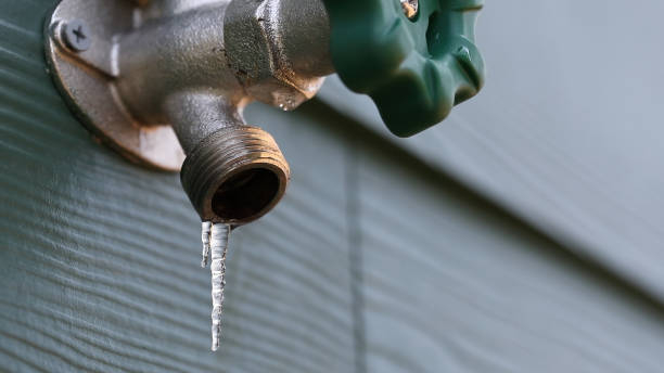 Best Clogged Drain Plumber  in Kirkl, IN